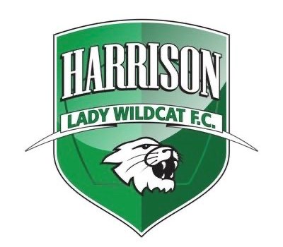 Girls Soccer Dominates Lawrenceburg: JV Shines with 4-0 Victory, Varsity Seals 2-1 Win